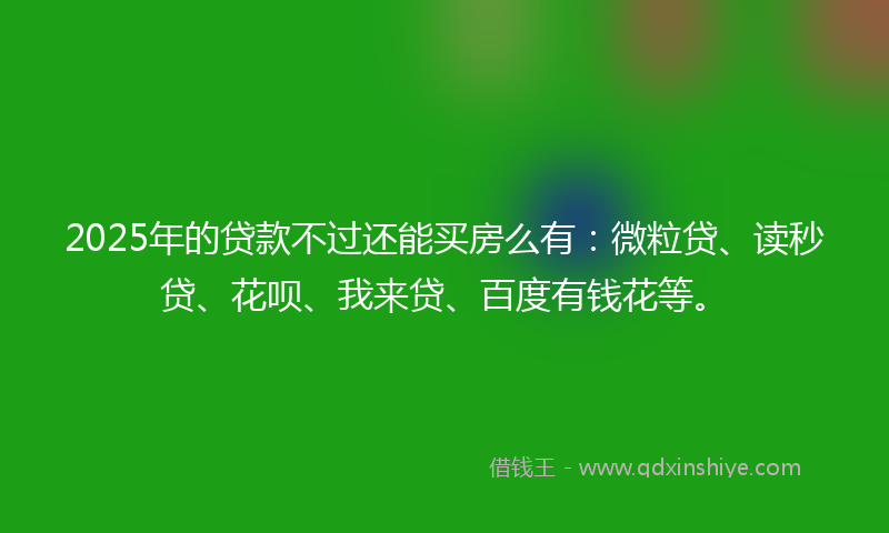 2025年的贷款不过还能买房么有：微粒贷、读秒贷、花呗、我来贷、百度有钱花等。