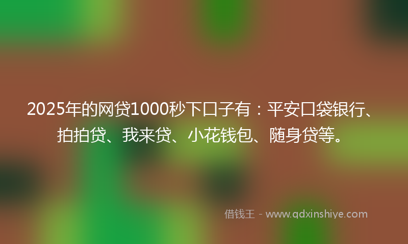 2025年的网贷1000秒下口子有：平安口袋银行、拍拍贷、我来贷、小花钱包、随身贷等。