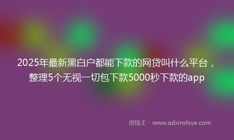 2025年最新黑白户都能下款的网贷叫什么平台，整理5个无视一切包下款5000秒下款的app