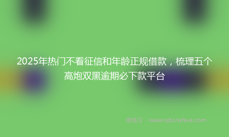 2025年热门不看征信和年龄正规借款，梳理五个高炮双黑逾期必下款平台