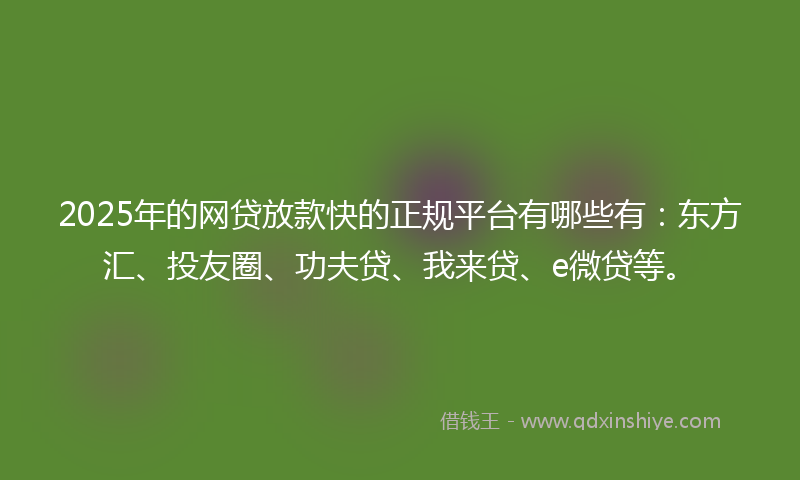 2025年的网贷放款快的正规平台有哪些有：东方汇、投友圈、功夫贷、我来贷、e微贷等。