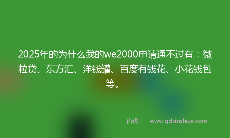 2025年的为什么我的we2000申请通不过有：微粒贷、东方汇、洋钱罐、百度有钱花、小花钱包等。