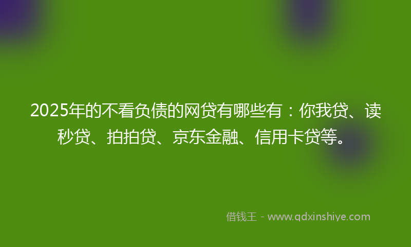 2025年的不看负债的网贷有哪些有：你我贷、读秒贷、拍拍贷、京东金融、信用卡贷等。
