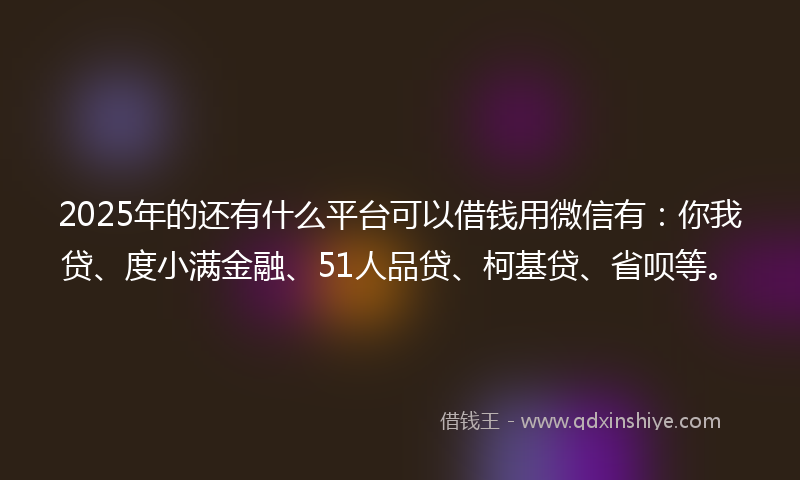 2025年的还有什么平台可以借钱用微信有：你我贷、度小满金融、51人品贷、柯基贷、省呗等。