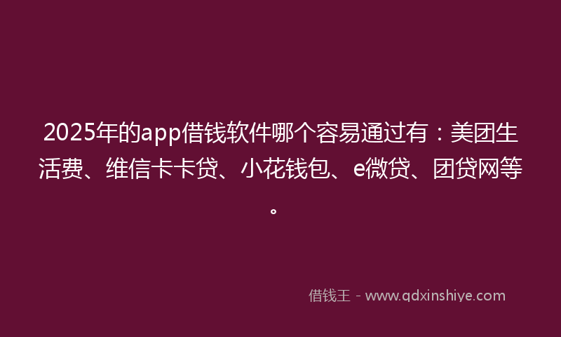 2025年的app借钱软件哪个容易通过有：美团生活费、维信卡卡贷、小花钱包、e微贷、团贷网等。