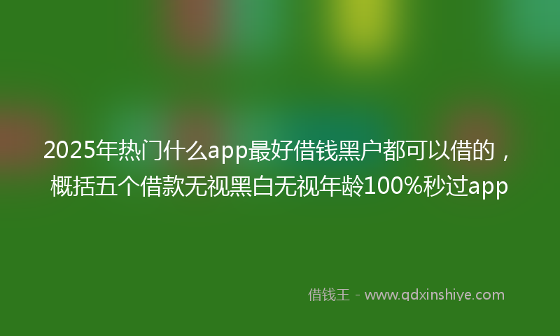2025年热门什么app最好借钱黑户都可以借的，概括五个借款无视黑白无视年龄100%秒过app