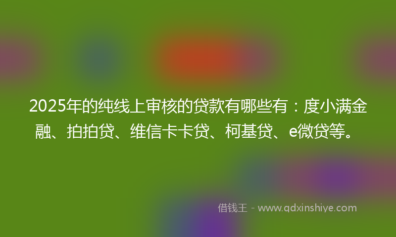 2025年的纯线上审核的贷款有哪些有：度小满金融、拍拍贷、维信卡卡贷、柯基贷、e微贷等。
