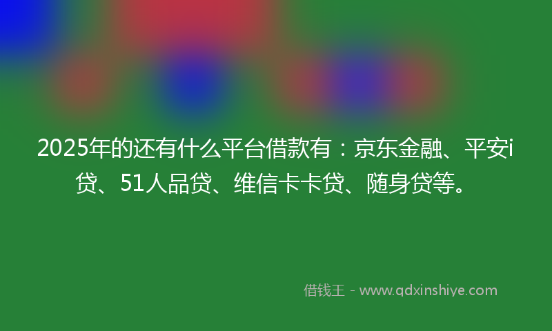 2025年的还有什么平台借款有：京东金融、平安i贷、51人品贷、维信卡卡贷、随身贷等。