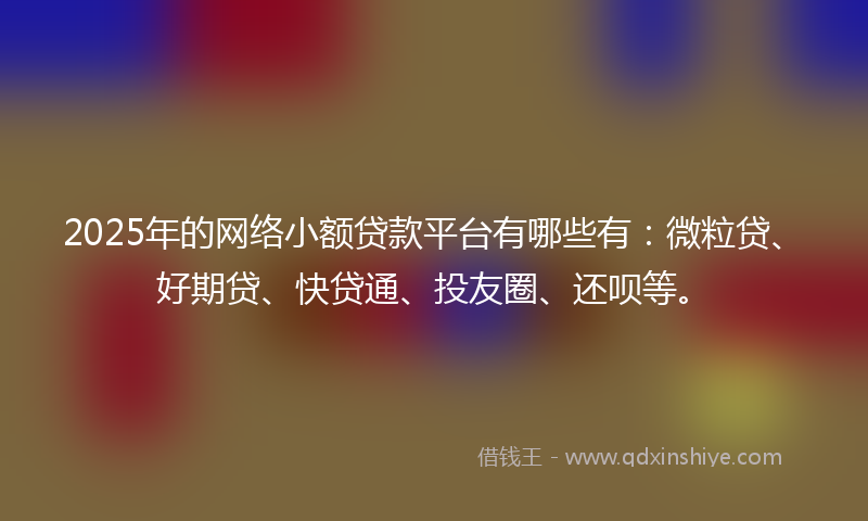 2025年的网络小额贷款平台有哪些有：微粒贷、好期贷、快贷通、投友圈、还呗等。