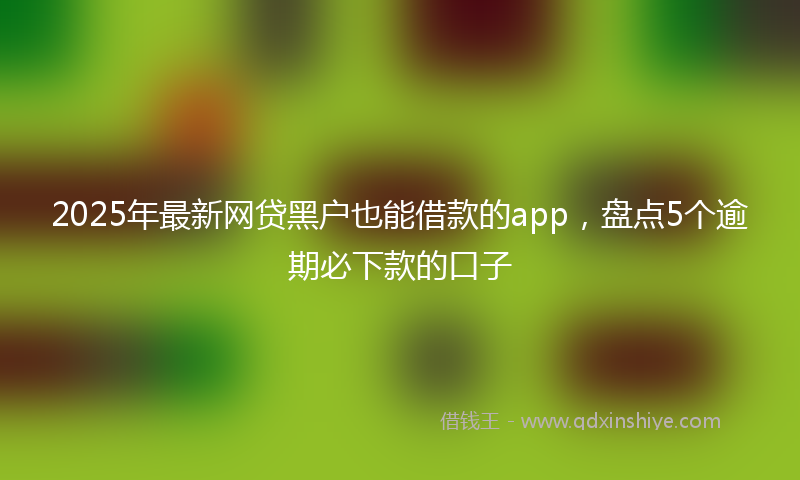 2025年最新网贷黑户也能借款的app，盘点5个逾期必下款的口子