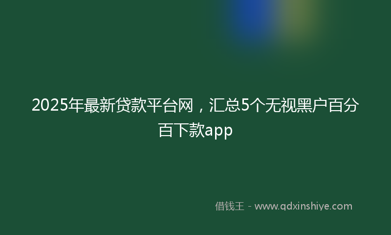 2025年最新贷款平台网，汇总5个无视黑户百分百下款app