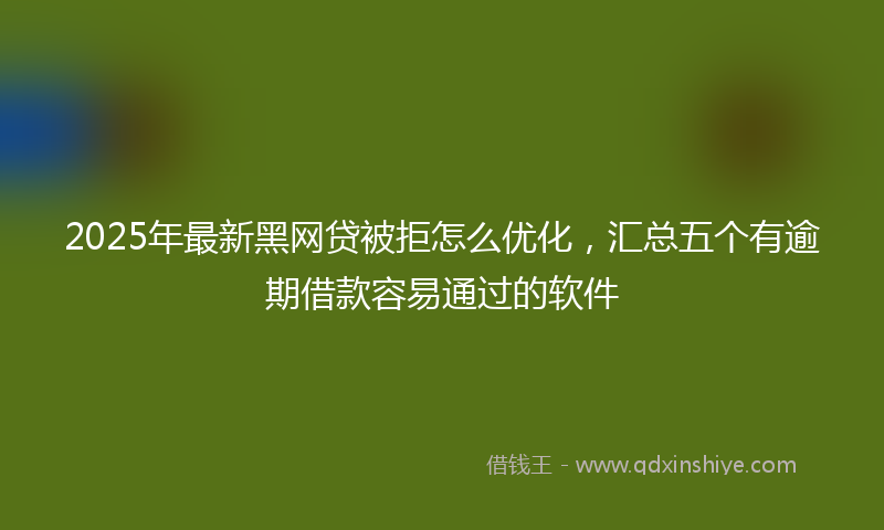 2025年最新黑网贷被拒怎么优化，汇总五个有逾期借款容易通过的软件