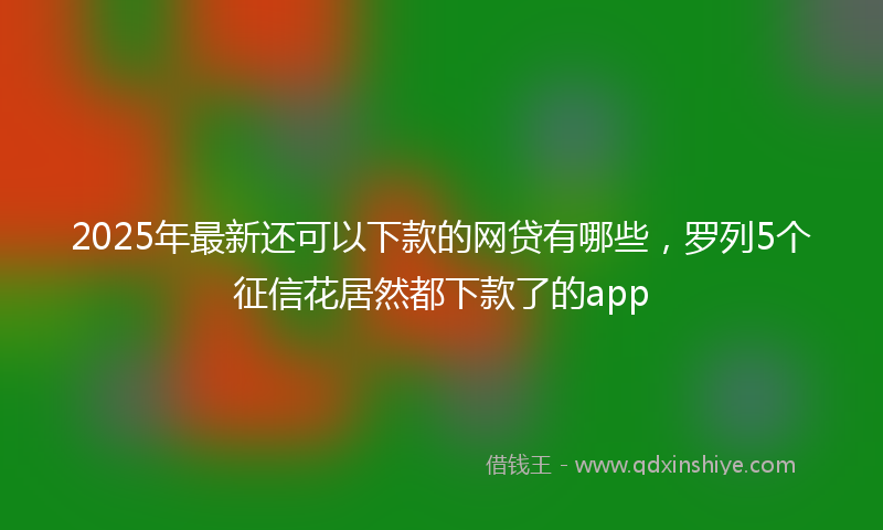 2025年最新还可以下款的网贷有哪些，罗列5个征信花居然都下款了的app