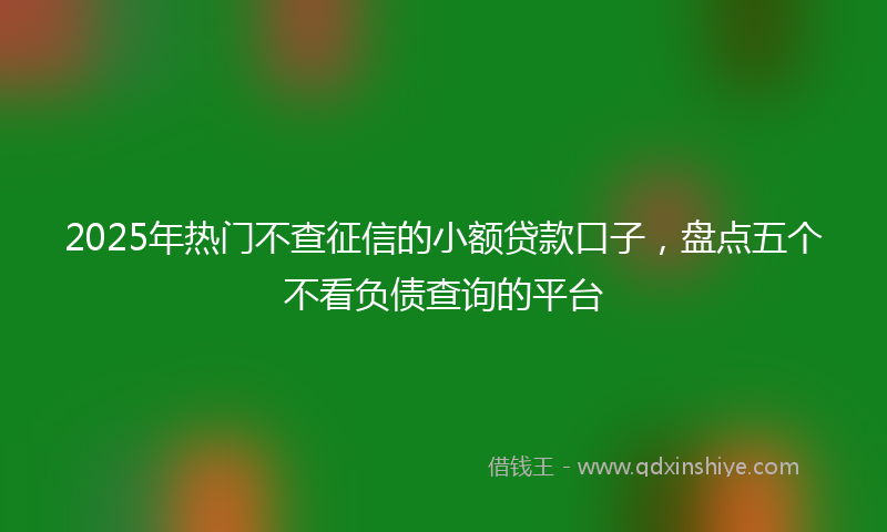 2025年热门不查征信的小额贷款口子，盘点五个不看负债查询的平台