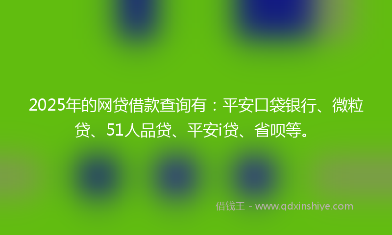 2025年的网贷借款查询有：平安口袋银行、微粒贷、51人品贷、平安i贷、省呗等。