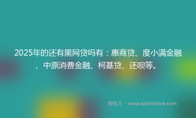 2025年的还有黑网贷吗有：惠商贷、度小满金融、中原消费金融、柯基贷、还呗等。