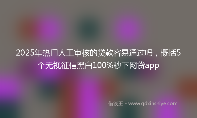 2025年热门人工审核的贷款容易通过吗，概括5个无视征信黑白100%秒下网贷app