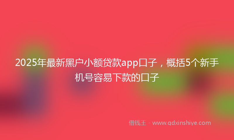 2025年最新黑户小额贷款app口子，概括5个新手机号容易下款的口子