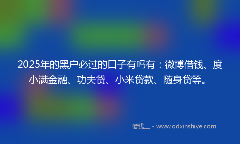 2025年的黑户必过的口子有吗有：微博借钱、度小满金融、功夫贷、小米贷款、随身贷等。