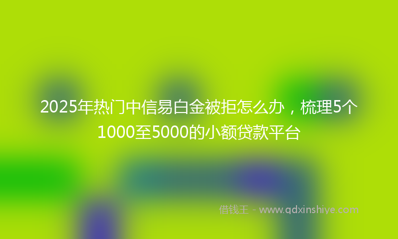 2025年热门中信易白金被拒怎么办，梳理5个1000至5000的小额贷款平台