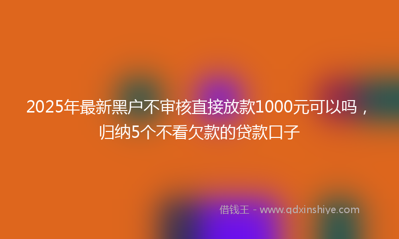 2025年最新黑户不审核直接放款1000元可以吗，归纳5个不看欠款的贷款口子