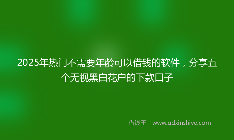 2025年热门不需要年龄可以借钱的软件，分享五个无视黑白花户的下款口子