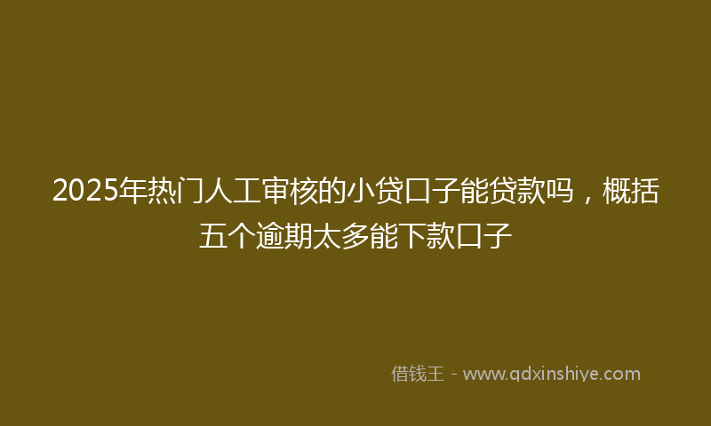 2025年热门人工审核的小贷口子能贷款吗，概括五个逾期太多能下款口子