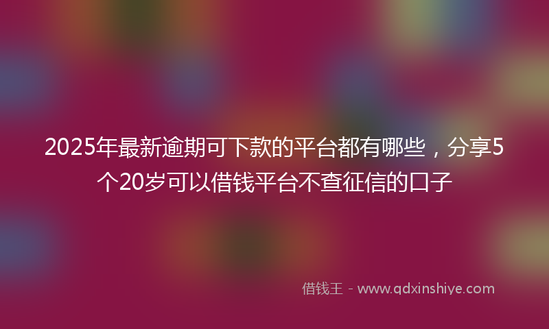 2025年最新逾期可下款的平台都有哪些，分享5个20岁可以借钱平台不查征信的口子