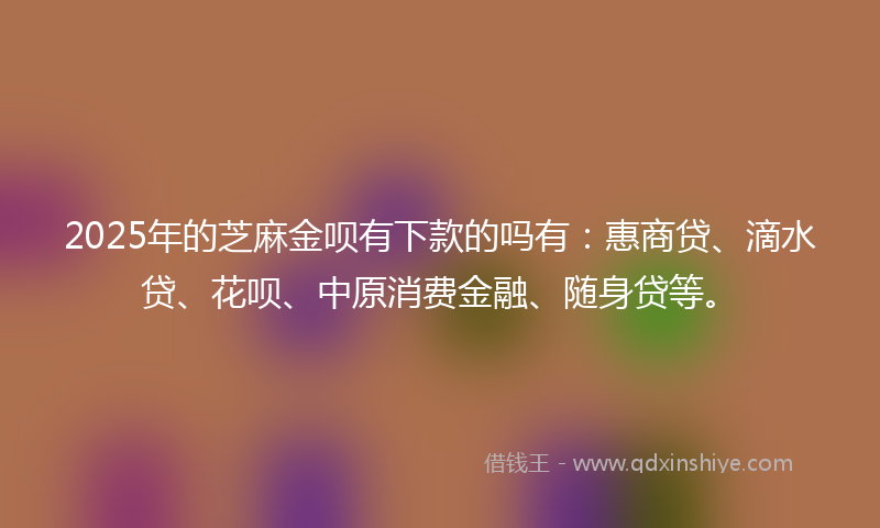 2025年的芝麻金呗有下款的吗有：惠商贷、滴水贷、花呗、中原消费金融、随身贷等。