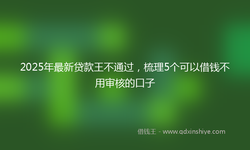 2025年最新贷款王不通过，梳理5个可以借钱不用审核的口子