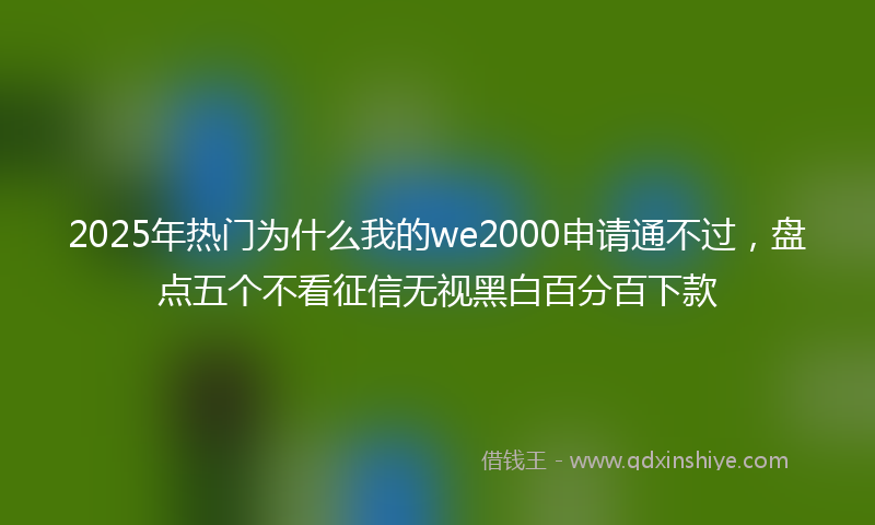 2025年热门为什么我的we2000申请通不过，盘点五个不看征信无视黑白百分百下款