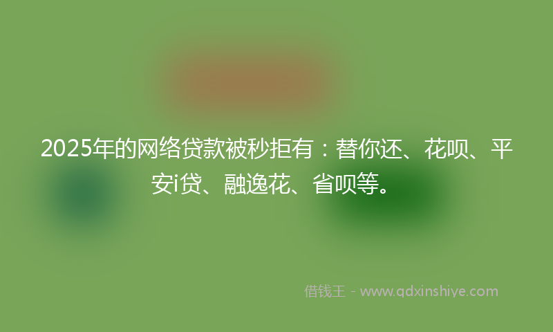 2025年的网络贷款被秒拒有：替你还、花呗、平安i贷、融逸花、省呗等。