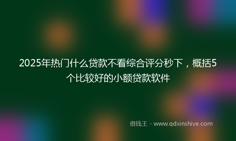 2025年热门什么贷款不看综合评分秒下，概括5个比较好的小额贷款软件