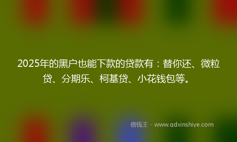 2025年的黑户也能下款的贷款有：替你还、微粒贷、分期乐、柯基贷、小花钱包等。