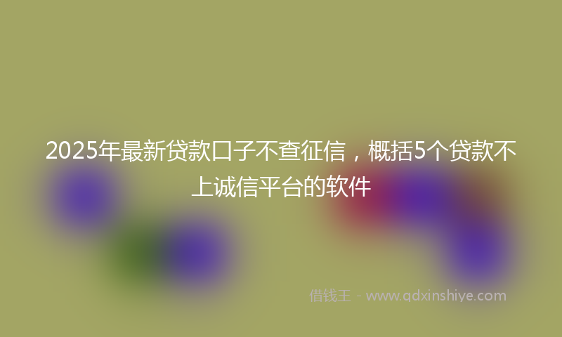 2025年最新贷款口子不查征信，概括5个贷款不上诚信平台的软件