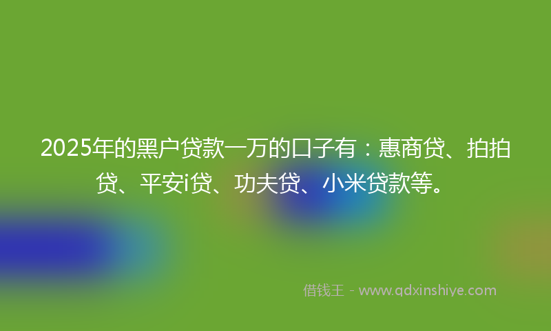 2025年的黑户贷款一万的口子有：惠商贷、拍拍贷、平安i贷、功夫贷、小米贷款等。