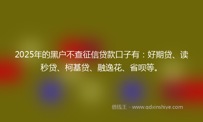 2025年的黑户不查征信贷款口子有：好期贷、读秒贷、柯基贷、融逸花、省呗等。