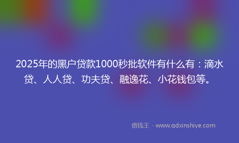2025年的黑户贷款1000秒批软件有什么有：滴水贷、人人贷、功夫贷、融逸花、小花钱包等。
