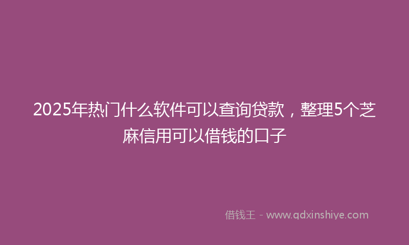 2025年热门什么软件可以查询贷款，整理5个芝麻信用可以借钱的口子