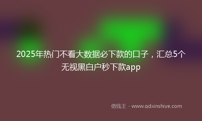 2025年热门不看大数据必下款的口子，汇总5个无视黑白户秒下款app