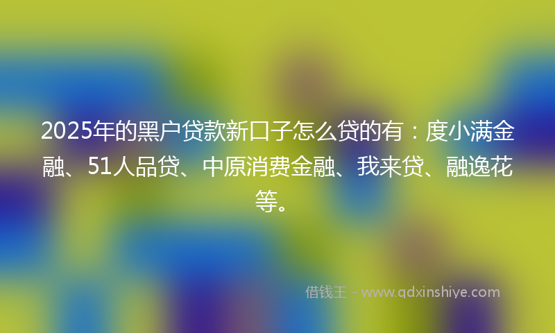 2025年的黑户贷款新口子怎么贷的有：度小满金融、51人品贷、中原消费金融、我来贷、融逸花等。