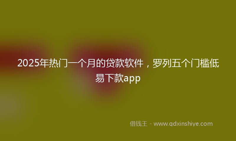 2025年热门一个月的贷款软件，罗列五个门槛低易下款app