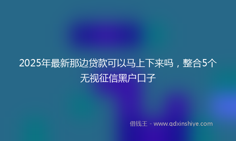 2025年最新那边贷款可以马上下来吗,整合5个无视征信黑户口子