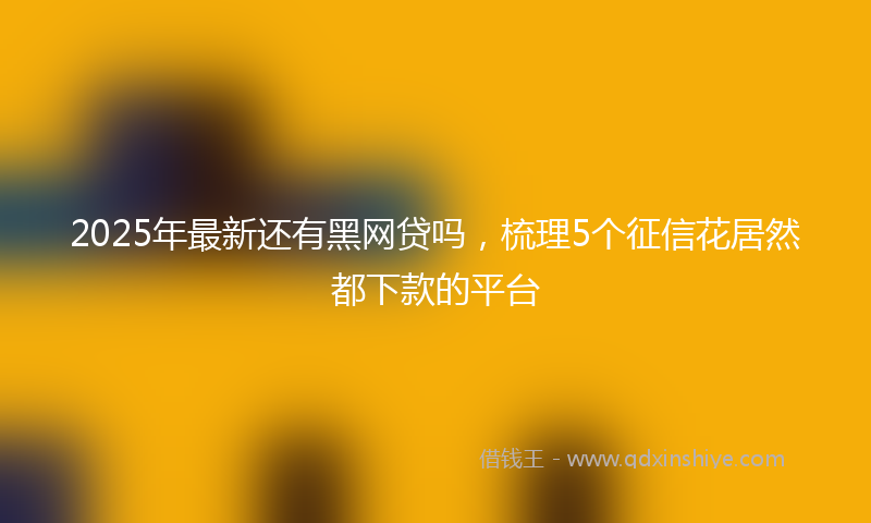 2025年最新还有黑网贷吗，梳理5个征信花居然都下款的平台