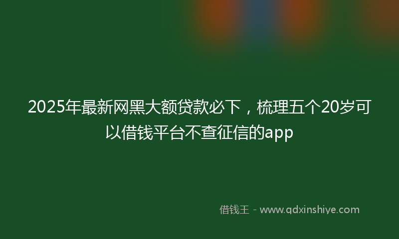 2025年最新网黑大额贷款必下，梳理五个20岁可以借钱平台不查征信的app