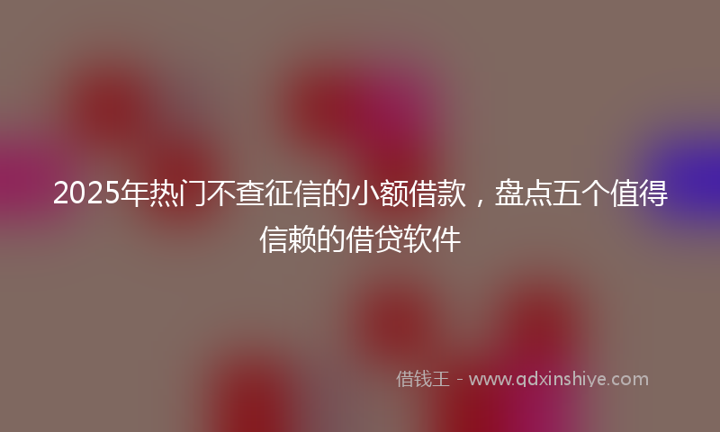 2025年热门不查征信的小额借款，盘点五个值得信赖的借贷软件
