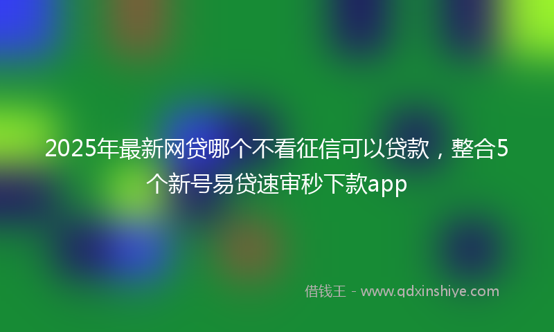2025年最新网贷哪个不看征信可以贷款，整合5个新号易贷速审秒下款app
