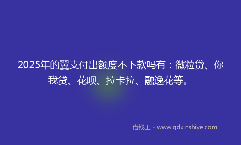 2025年的翼支付出额度不下款吗有：微粒贷、你我贷、花呗、拉卡拉、融逸花等。