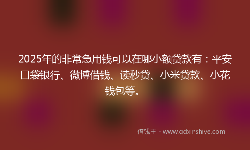 2025年的非常急用钱可以在哪小额贷款有:平安口袋银行、微博借钱、读秒贷、小米贷款、小花钱包等。