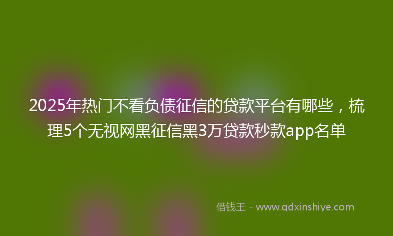 2025年热门不看负债征信的贷款平台有哪些，梳理5个无视网黑征信黑3万贷款秒款app名单